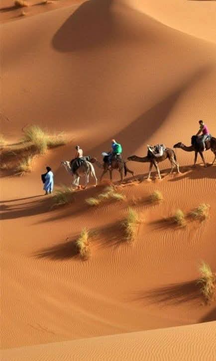 Camel trek through the dunes
