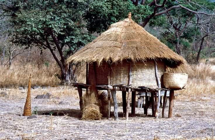 Traditional thatched granary on stilts
