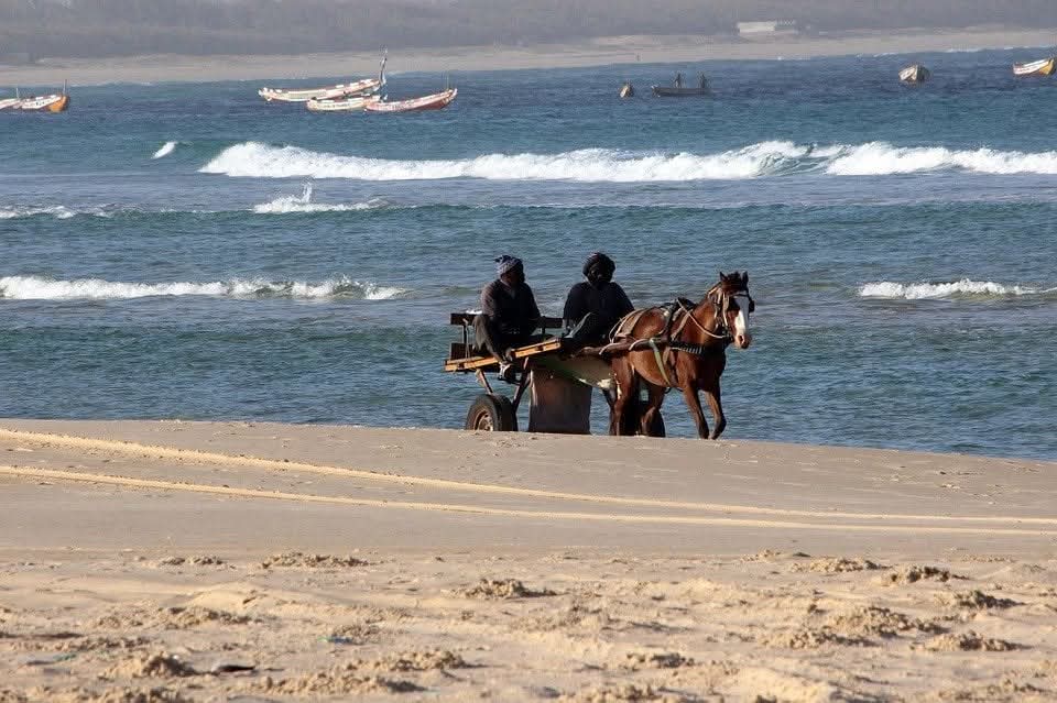 Horse cart on the beach with fishing boats at sea
